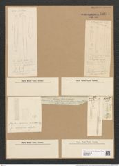 Fragilaria capucina Desm. (de-Toni-Nr.: Genus 73, Species 2734) Zeichnungen Sammlung Grunow Nr. 5597 (NHMW-BOT-W0374071)